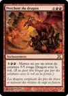 Product image for Perchoir du dragon