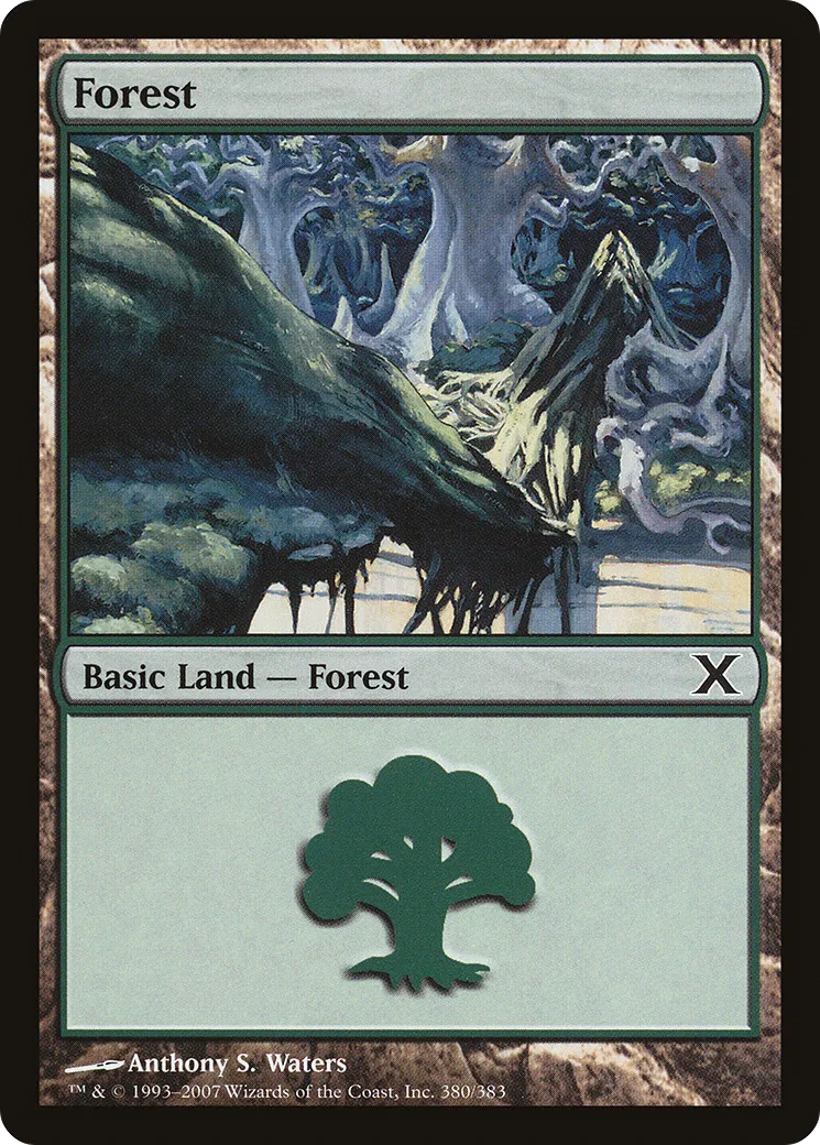 Forest — Tenth Edition — Magic: The Gathering