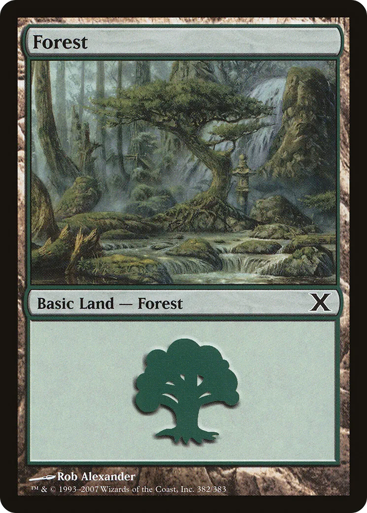 Forest — Tenth Edition — Magic: The Gathering
