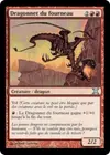 Product image for Dragonnet du fourneau