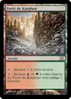 Product image for Forêt de Karpluse