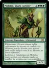 Product image for Molimo, maro-sorcier