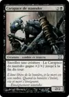 Product image for Carapace de nantuko