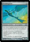 Product image for Ornithoptère