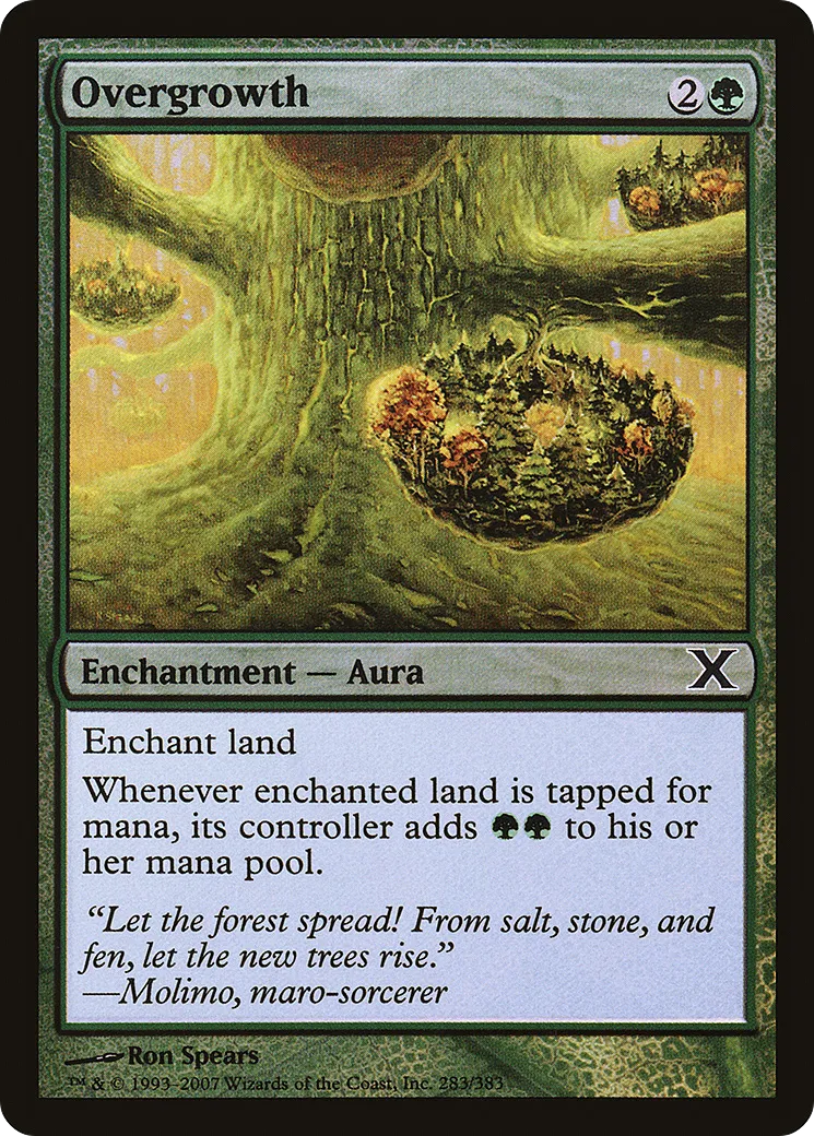 Overgrowth — Tenth Edition — Magic: The Gathering