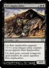 Product image for Rats implacables