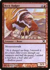 Product image for Rock Badger