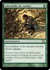 Product image for Labyrinthe de racines