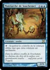 Product image for Matriarche de Souchemer