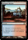 Product image for Brisants shivâns