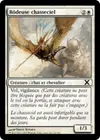 Product image for Rôdeuse chasseciel