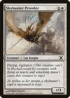 Product image for Skyhunter Prowler