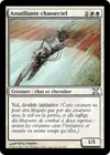 Product image for Assaillante chasseciel