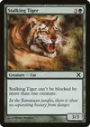 Product image for Stalking Tiger