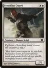 Product image for Steadfast Guard