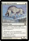 Product image for Loups de la toundra