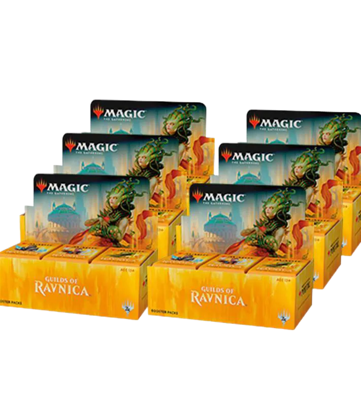 Case de displays Les Guildes de Ravnica — Guilds of Ravnica — Magic: The Gathering