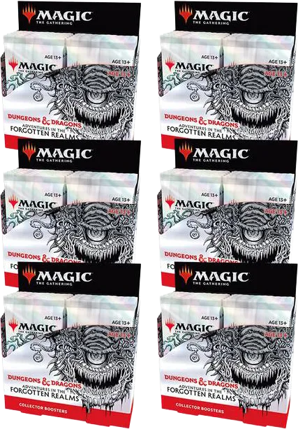 Case de displays Collector Forgotten Realms : Aventures dans les Royaumes Oubliés — Adventures in the Forgotten Realms — Magic: The Gathering