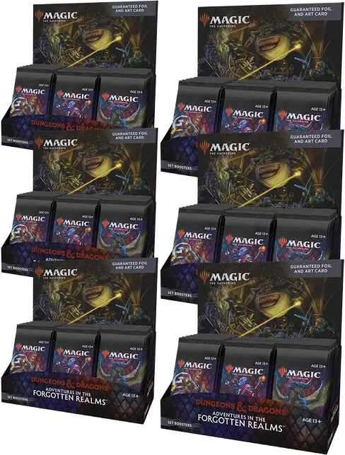 Case de displays de boosters d'extension Forgotten Realms : Aventures dans les Royaumes Oubliés — Adventures in the Forgotten Realms — Magic: The Gathering