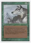 Product image for Aspect du loup