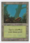 Product image for Forest