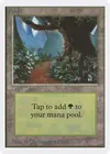 Product image for Forêt