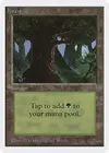 Product image for Forest
