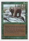 Product image for Grizzly Bears