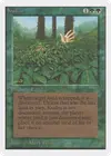 Product image for Kudzu