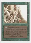 Product image for Wall of Brambles