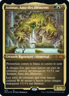Product image for Animar, Âme des éléments