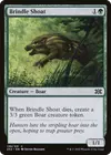 Product image for Brindle Shoat