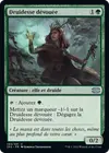 Product image for Druidesse dévouée