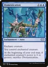 Product image for Domestication