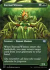 Product image for Eternal Witness