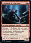 Product image for Champion du labyrinthe
