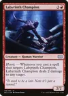Product image for Labyrinth Champion