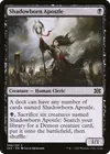 Product image for Shadowborn Apostle
