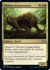 Product image for Thrinax bourgeonnant