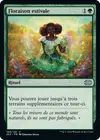 Product image for Floraison estivale
