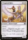 Product image for Wingsteed Rider
