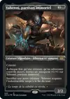 Product image for Yahenni, partisan immortel