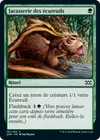 Product image for Jacasserie des écureuils