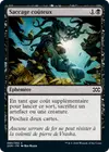 Product image for Saccage coûteux