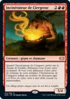 Product image for Incinérateur de Ciergeroc