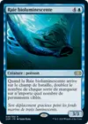 Product image for Raie bioluminescente