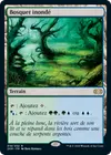Product image for Bosquet inondé
