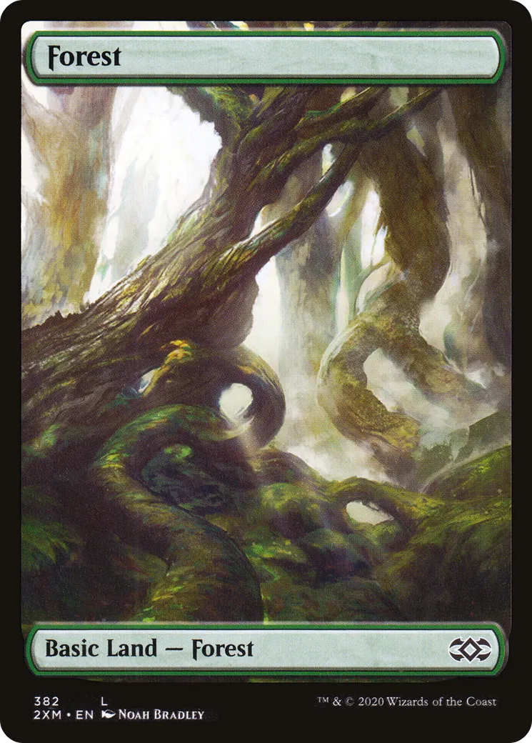 Forest — Double Masters — Magic: The Gathering