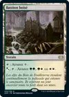 Product image for Bastion boisé