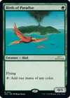 Product image for Birds of Paradise